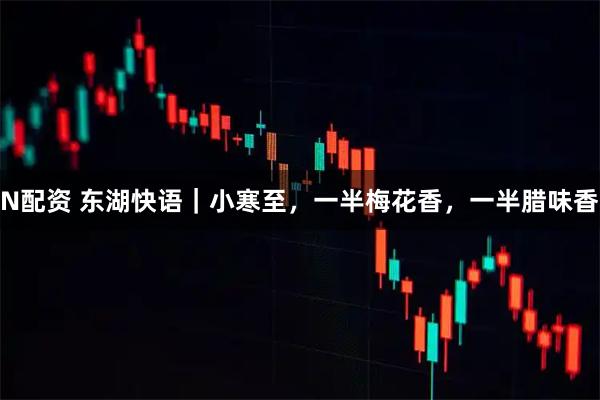 N配资 东湖快语|小寒至,一半梅花香,一半腊味香